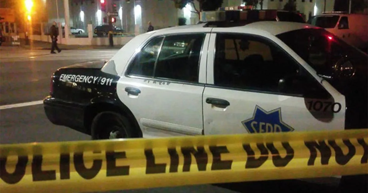 San Francisco police vehicles near the Marina District after a stabbing on Yacht Road