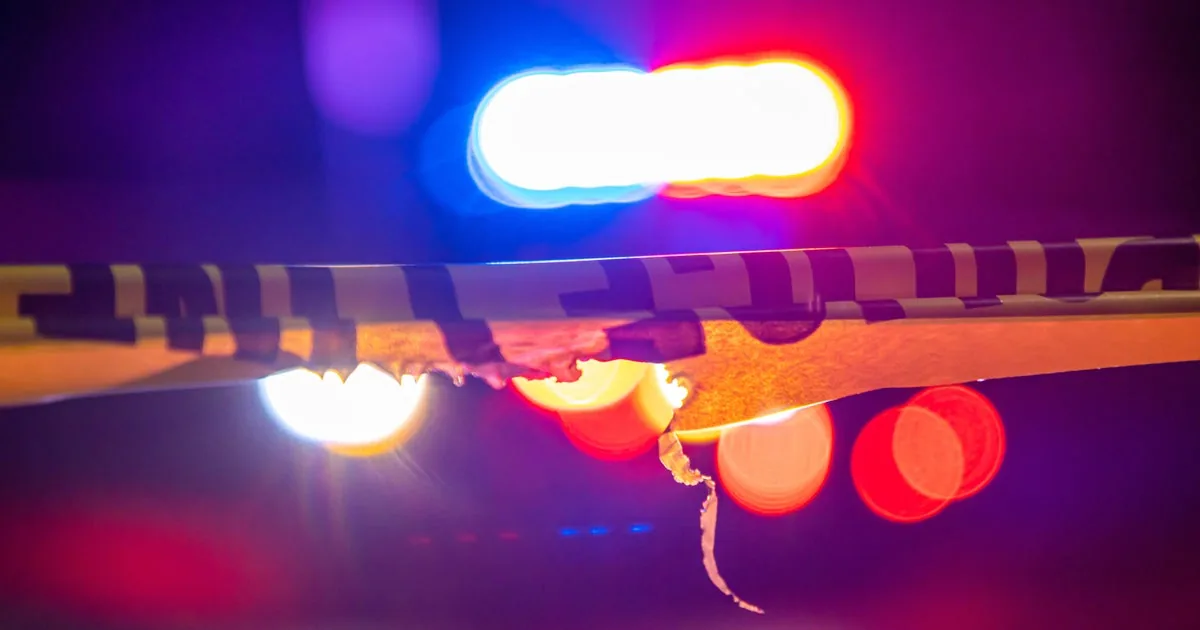 Chicago police car burglary alert covering the Near South Side and South Commons